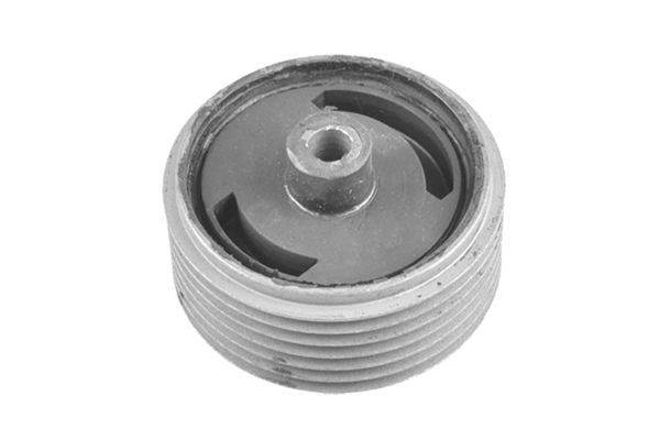 Halter, Motoraufhängung