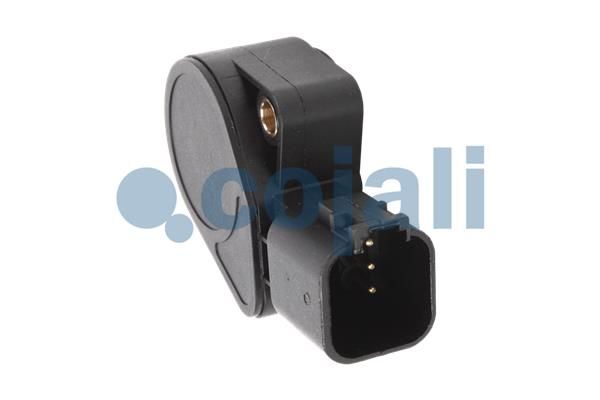 Sensor, Fahrpedalstellung