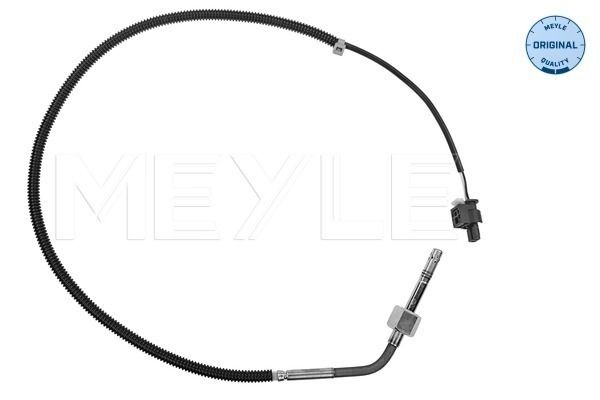 Sensor, Abgastemperatur