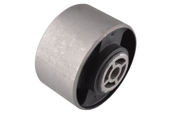 Halter, Motoraufhängung