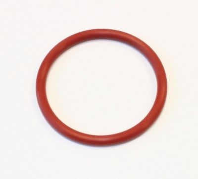 Dichtring
