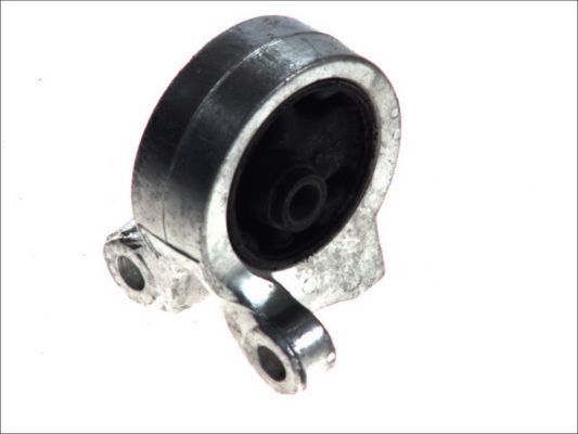 Halter, Motoraufhängung