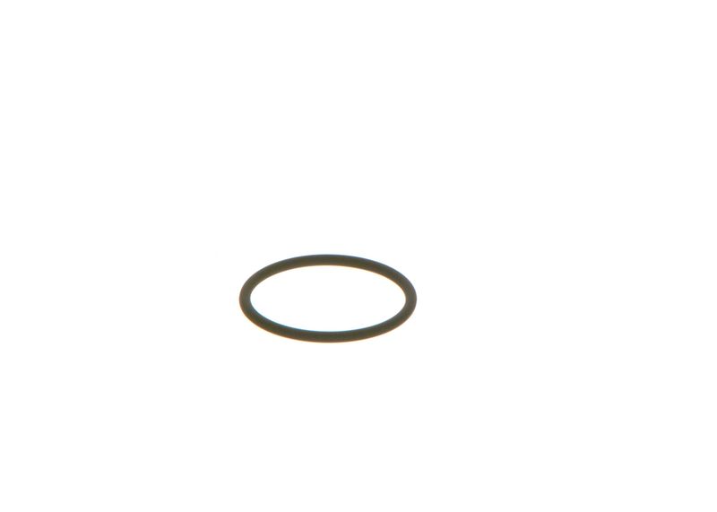 Dichtring