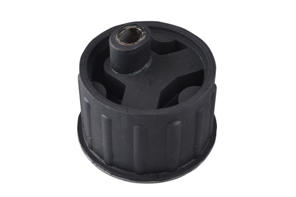 Halter, Motoraufhängung