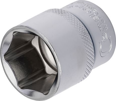 Halter, Motoraufhängung