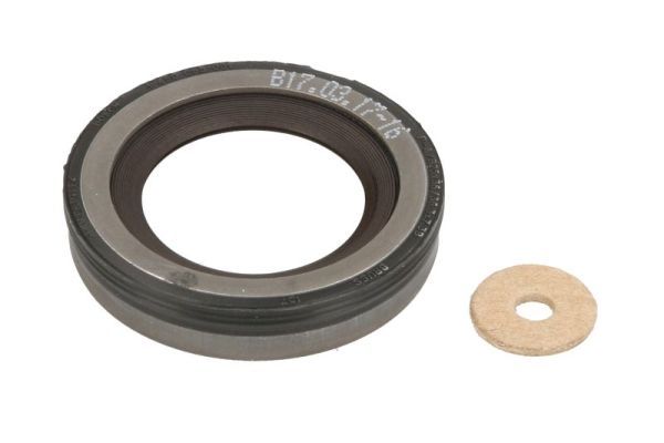 Wellendichtring, Einspritzpumpe