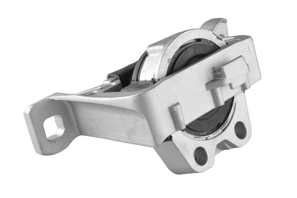 Halter, Motoraufhängung