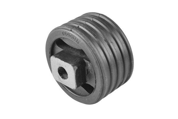 Halter, Motoraufhängung