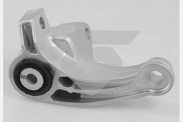 Halter, Motoraufhängung