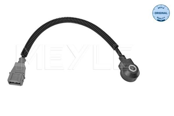 Klopfsensor