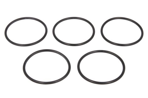 Dichtung, Einspritzpumpe