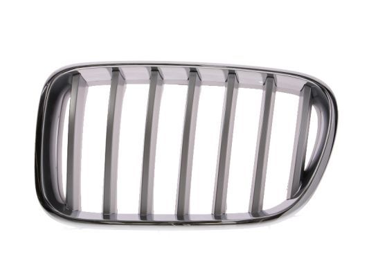 Kühlergitter L (titanfarben) passt zu: BMW X3 F25, X4 F26 09.10-05.18
