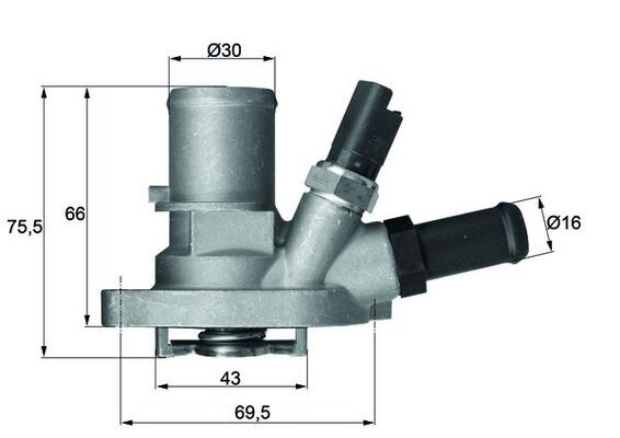 Thermostat, Kühlmittel