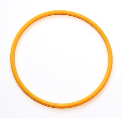 Dichtring