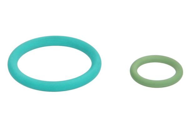 Dichtung, Einspritzpumpe