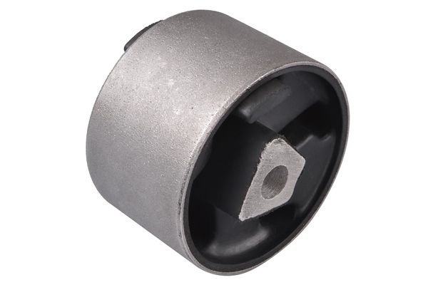 Halter, Motoraufhängung