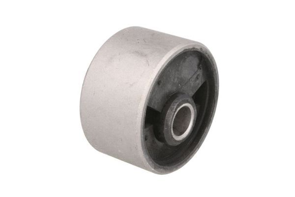 Halter, Motoraufhängung