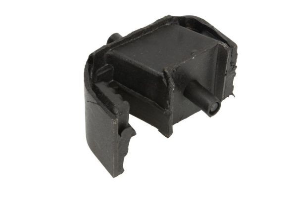 Halter, Motoraufhängung