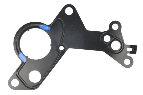 Dichtung, Unterdruckpumpe