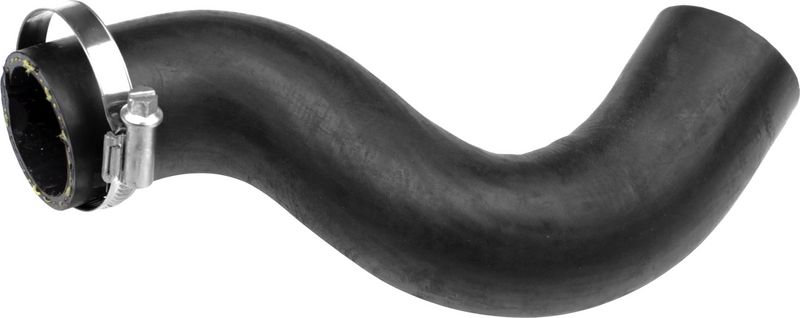 Kühlerschlauch