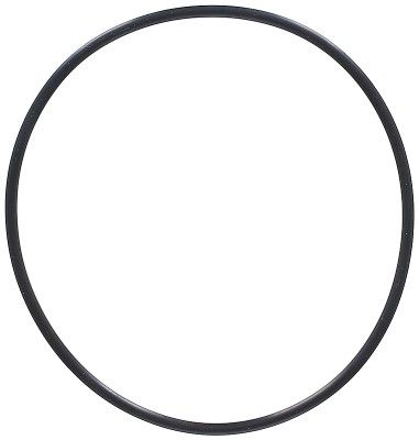 Dichtring
