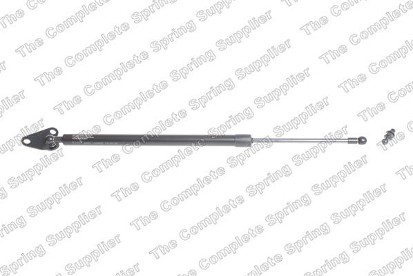 Gasfeder, Koffer-/Laderaum