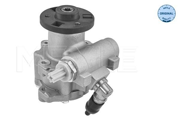 Hydraulikpumpe, Lenkung