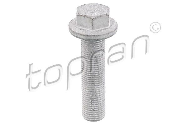 Riemenscheibenschraube