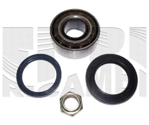 Fahrwerksfeder