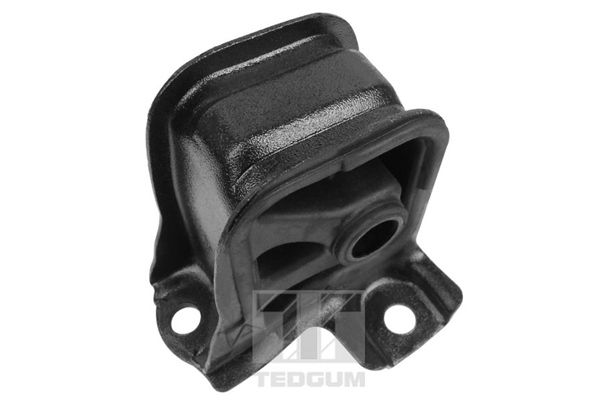 Halter, Motoraufhängung