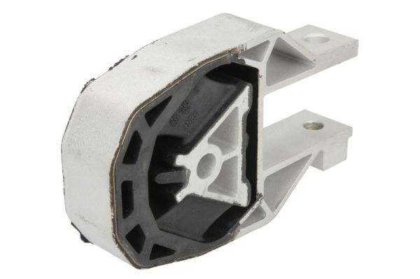 Halter, Motoraufhängung