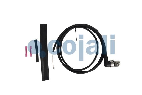 Sensor, Motordrehzahl