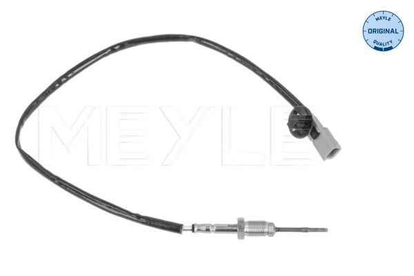Sensor, Abgastemperatur