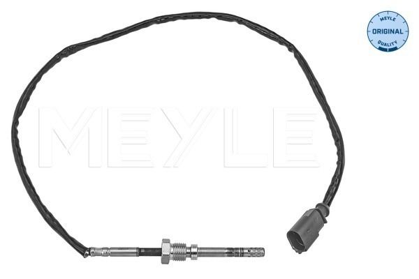 Sensor, Abgastemperatur