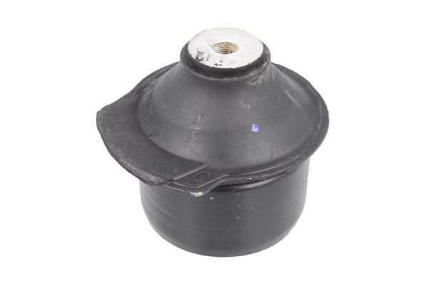 Halter, Motoraufhängung