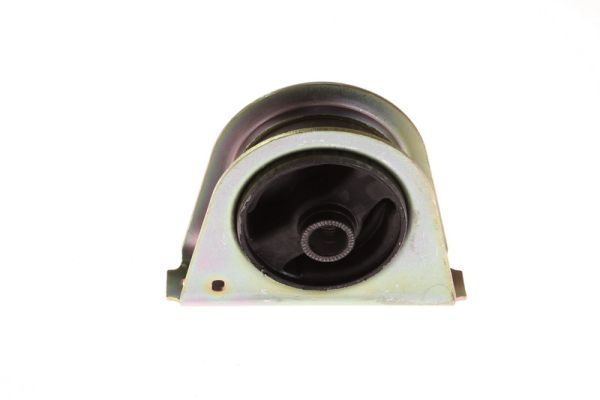 Halter, Motoraufhängung