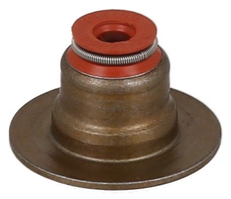Dichtring, Ventilschaft