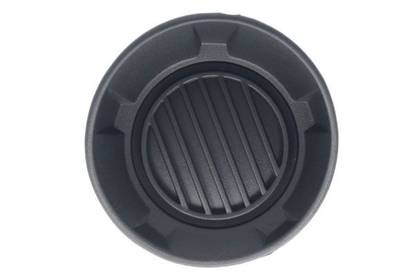 Halogenstecker L (LS) passt zu: CHEVROLET CAMARO 02.09-12.15