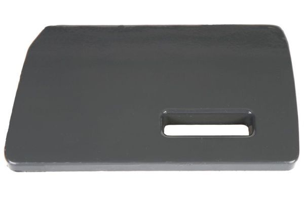 Türschwellen - Trittbrett