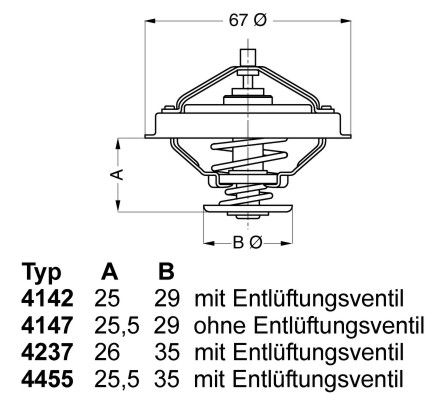 Thermostat, Kühlmittel