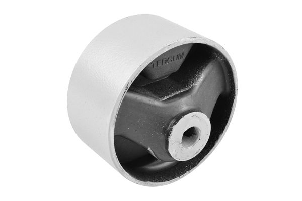 Halter, Motoraufhängung