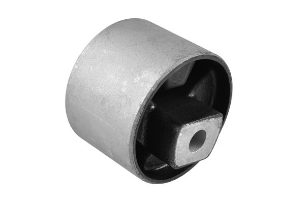 Halter, Motoraufhängung