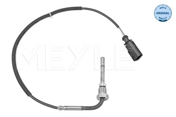Sensor, Abgastemperatur