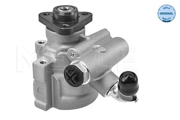 Hydraulikpumpe, Lenkung