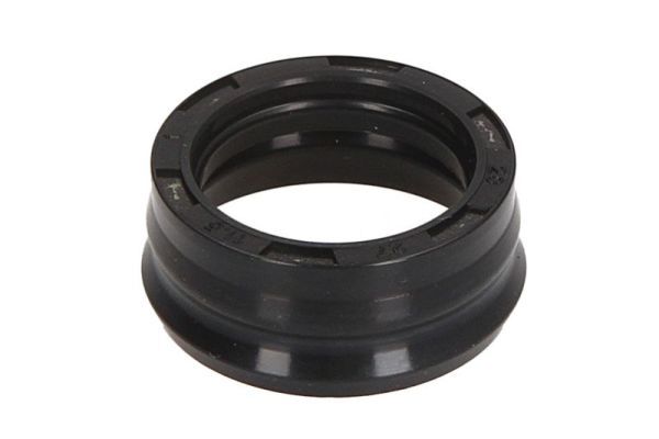 Dichtring, Einspritzventil