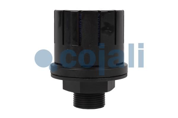 Dichtung, Steuergehäuse