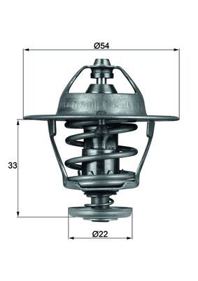 Thermostat, Kühlmittel