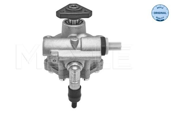 Hydraulikpumpe, Lenkung