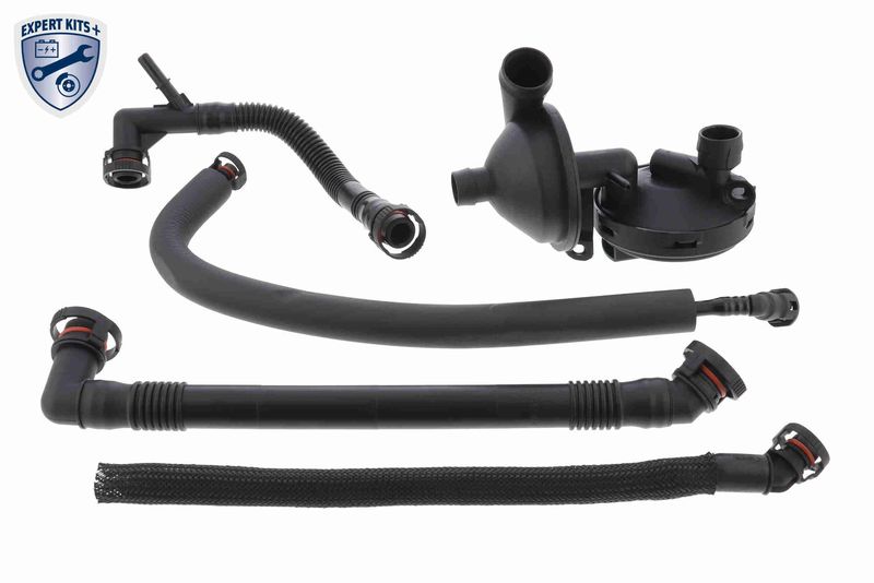 Schlauch, Kurbelgehäuseentlüftung