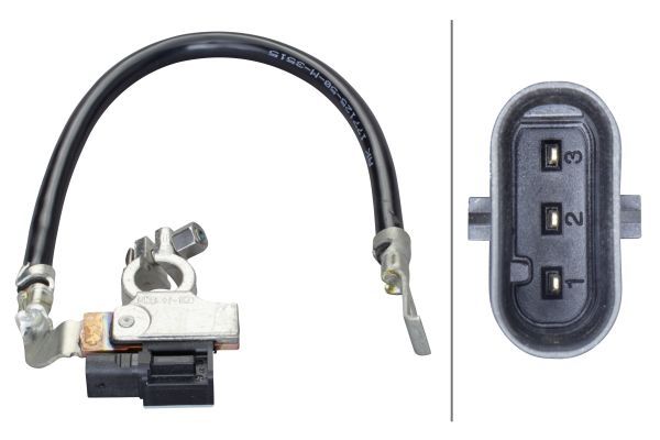Sensor, Batteriemanagement